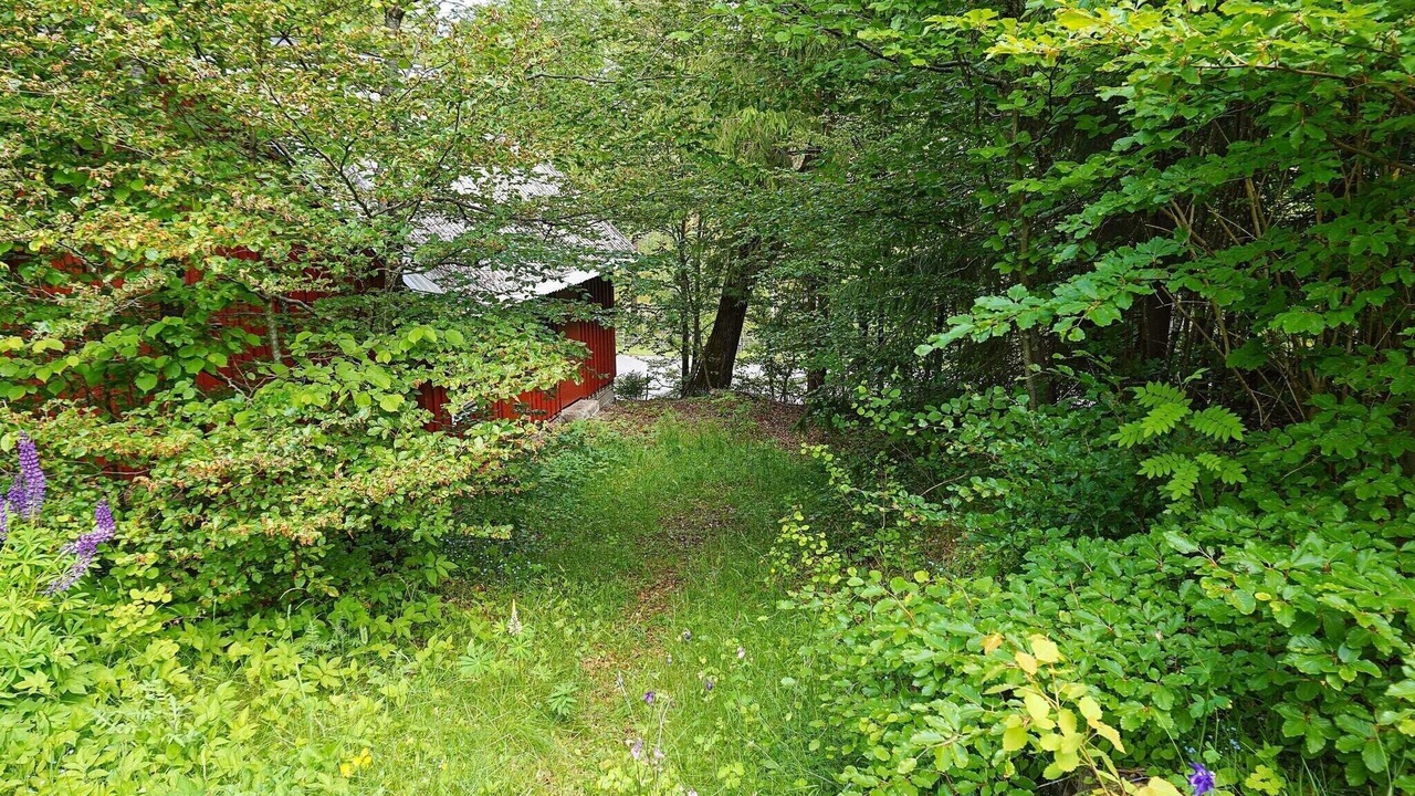 Photo of Outdoor in Roke