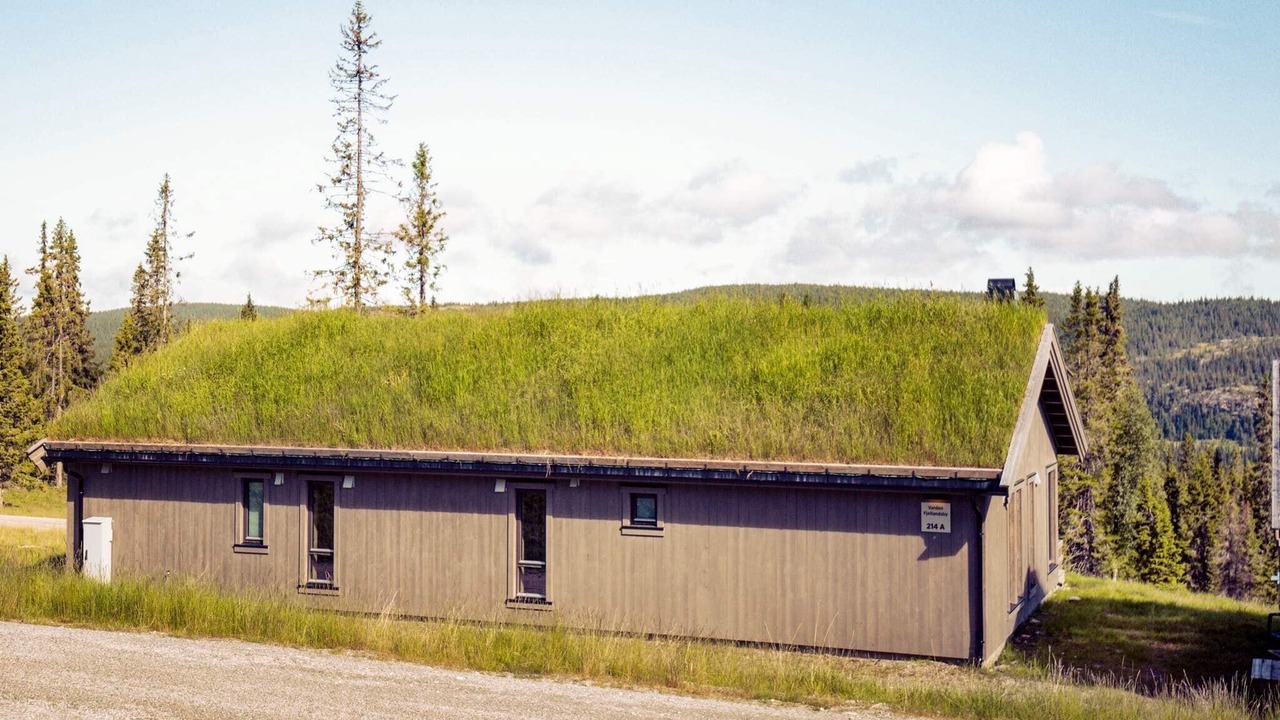 Photo of Outdoor in Skeikampen