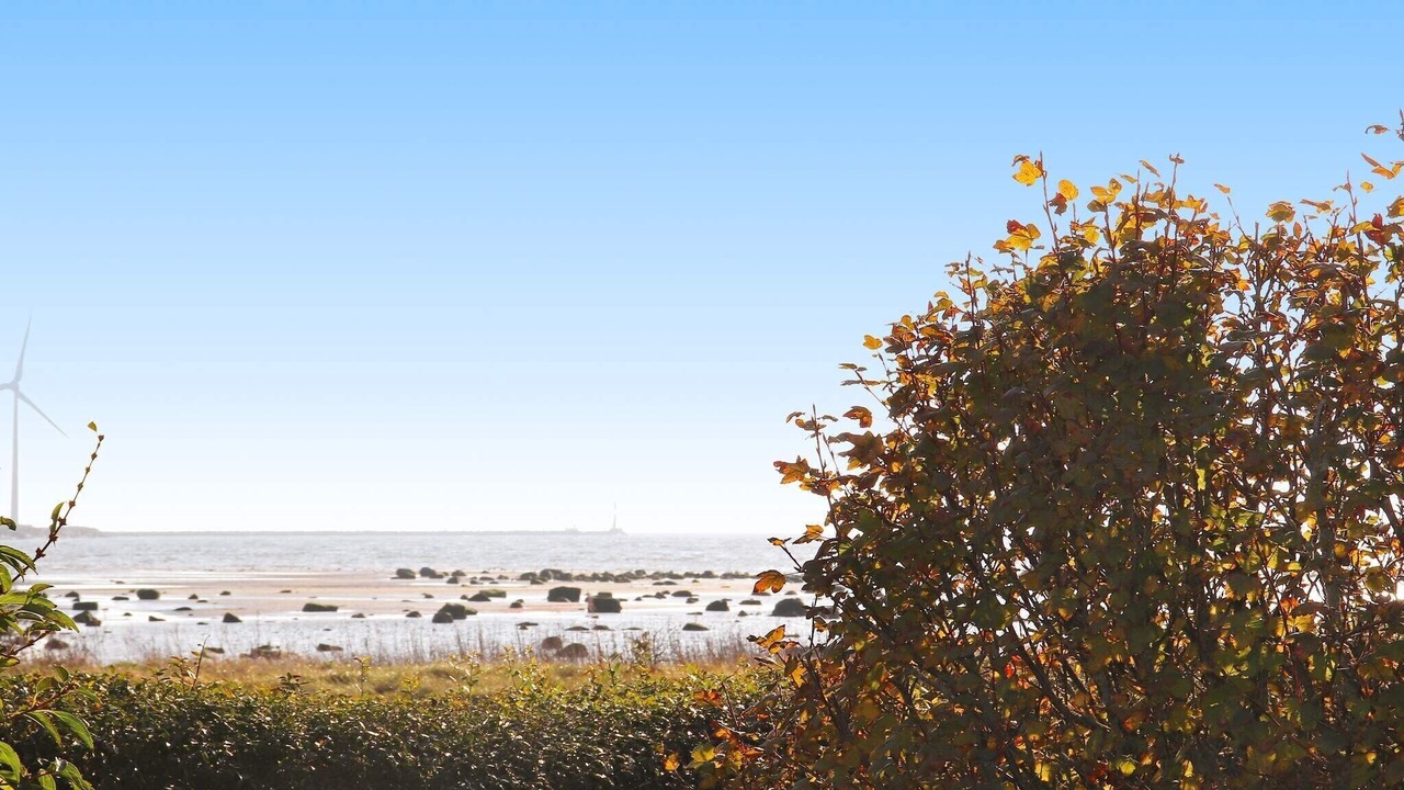 Photo of Others in Falkenberg