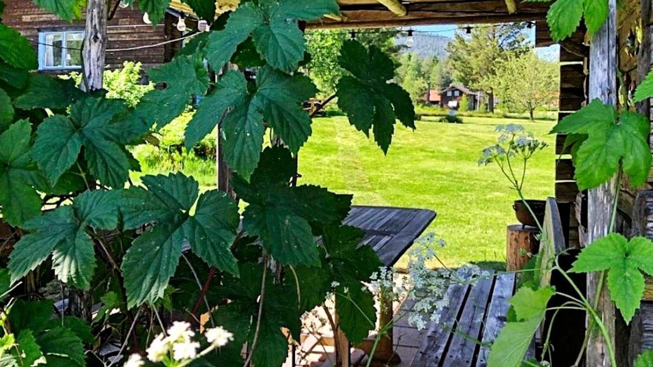 Photo of Outdoor in Solleron
