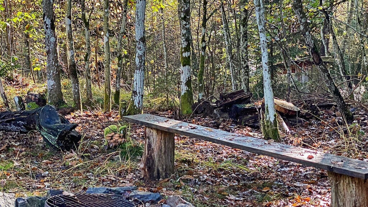 Photo of Outdoor in Skanes Fagerhult
