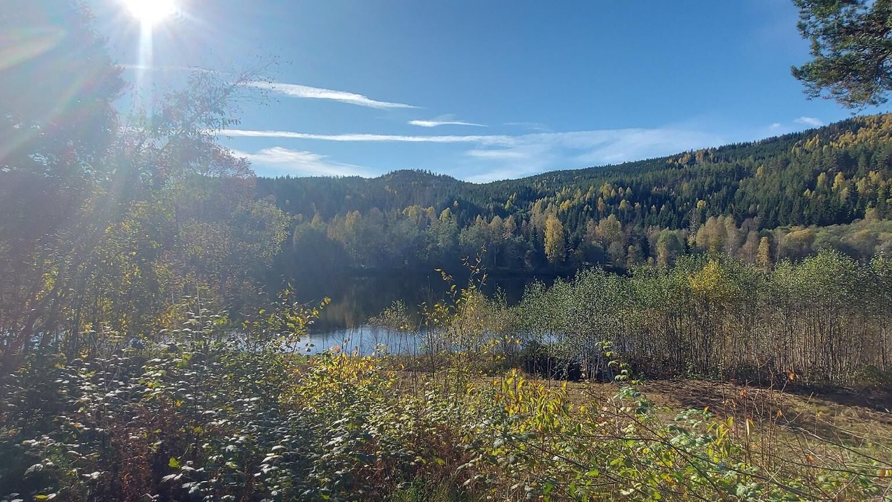 Photo of Others in Torsby O