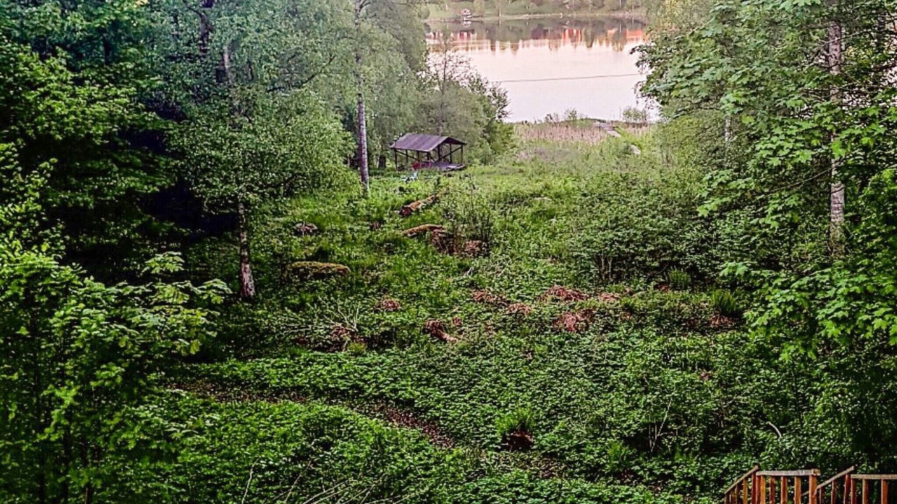 Photo of Outdoor in Skyllberg