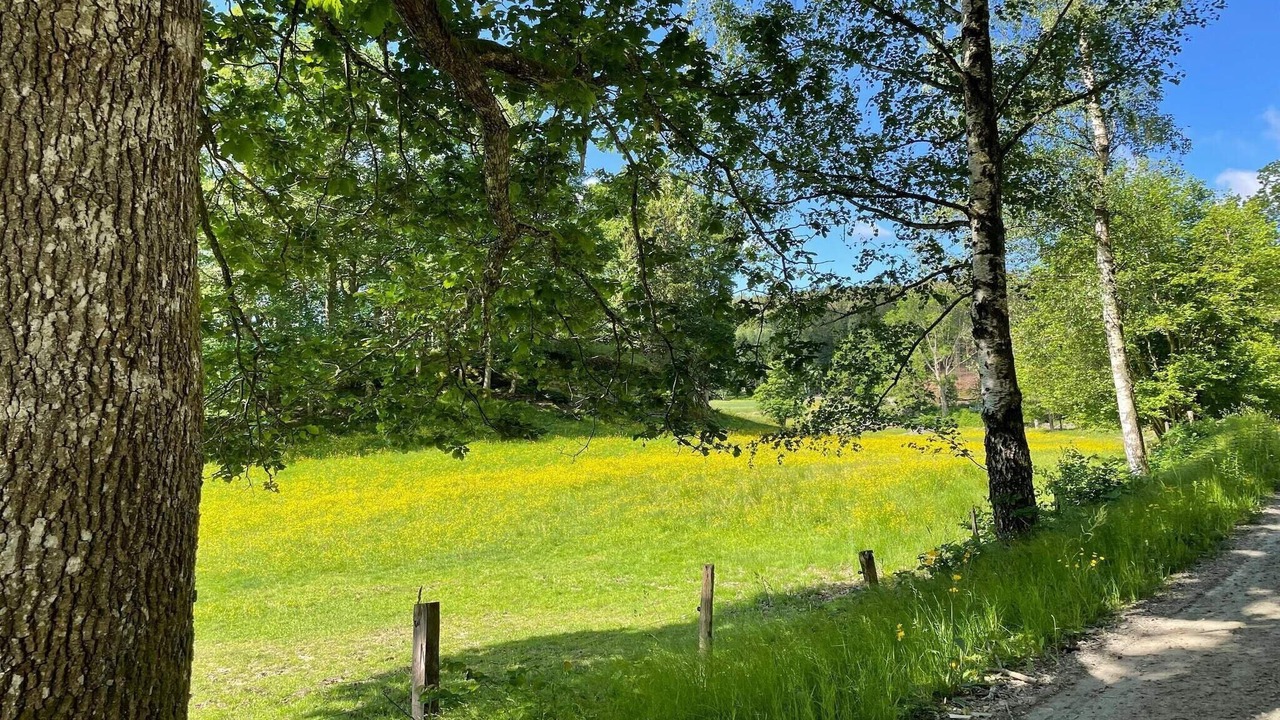 Photo of Outdoor in Ljungskile