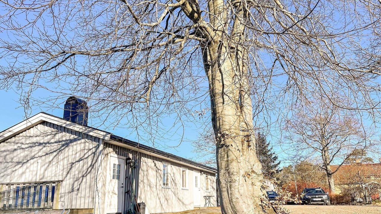 Photo of Outdoor in Ljungskile
