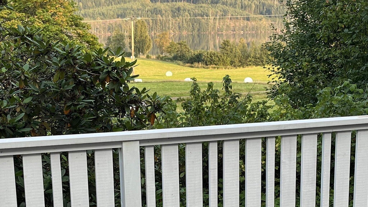 Photo of Outdoor in Molkom