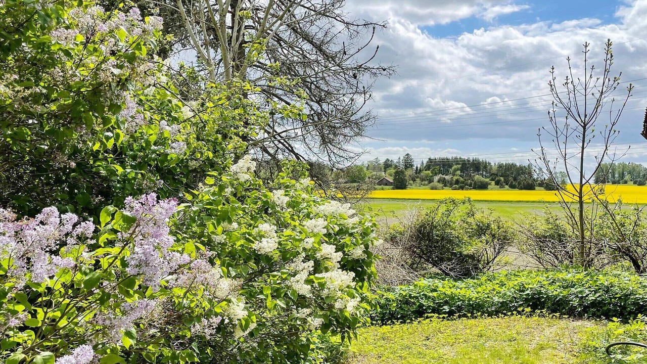 Photo of Outdoor in Orsundsbro