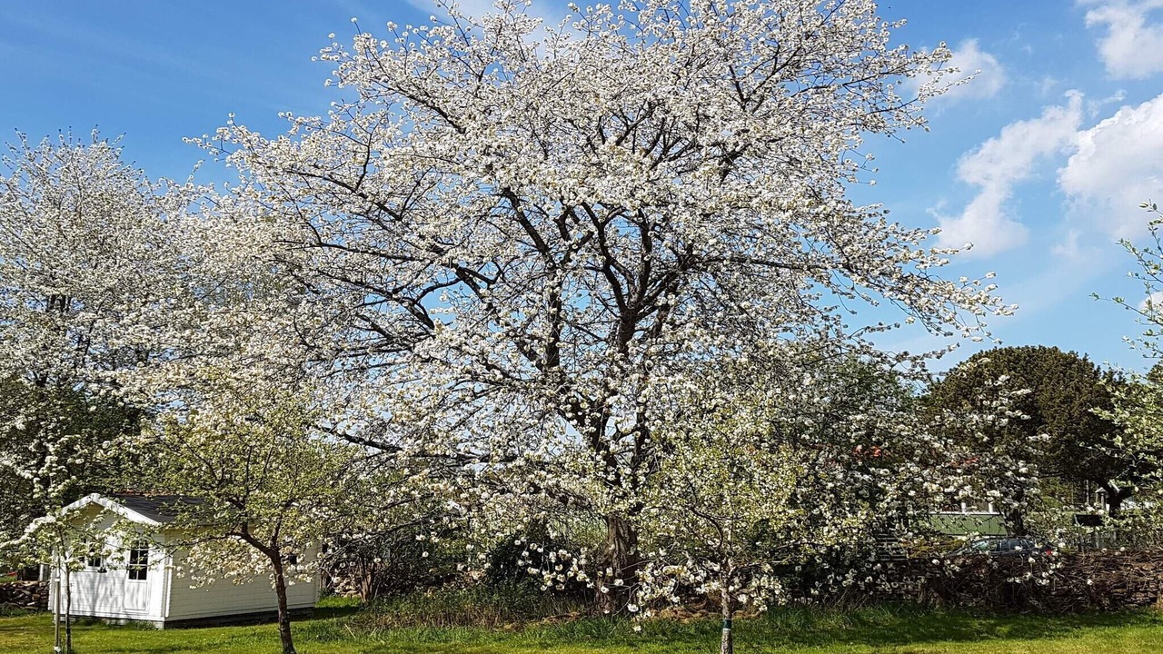 Photo of Outdoor in Asa