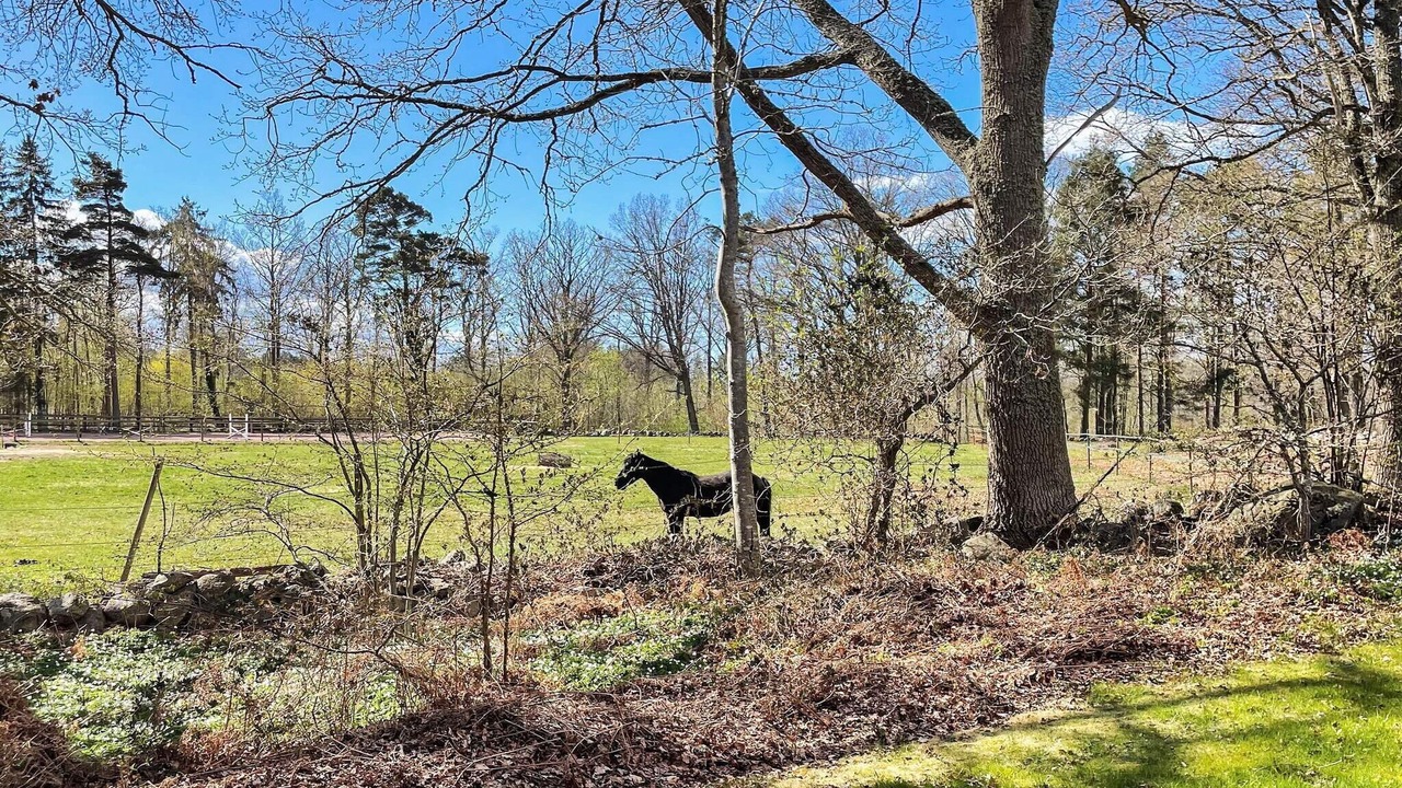 Photo of Outdoor in Farjestaden