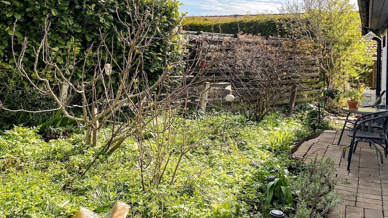 Photo of Outdoor in Borrby