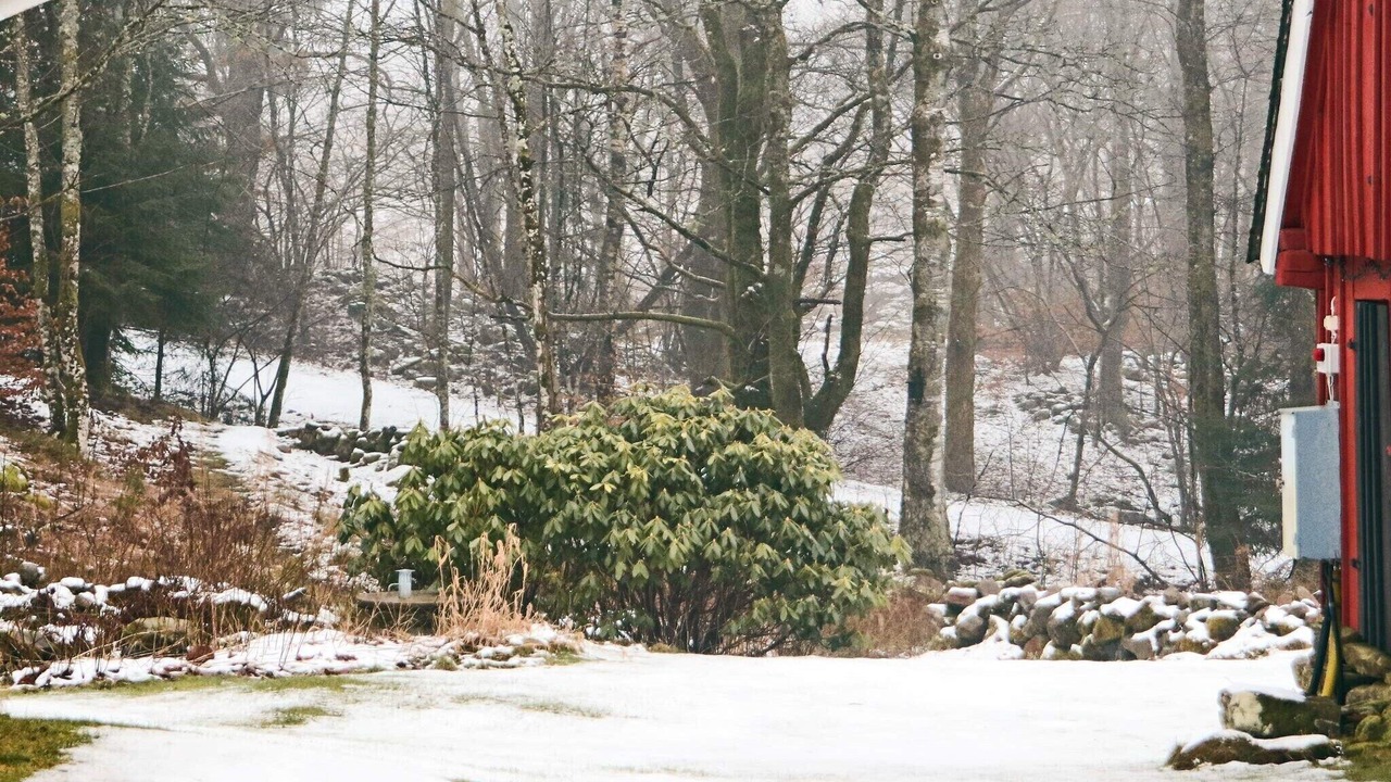 Photo of Outdoor in Ullared