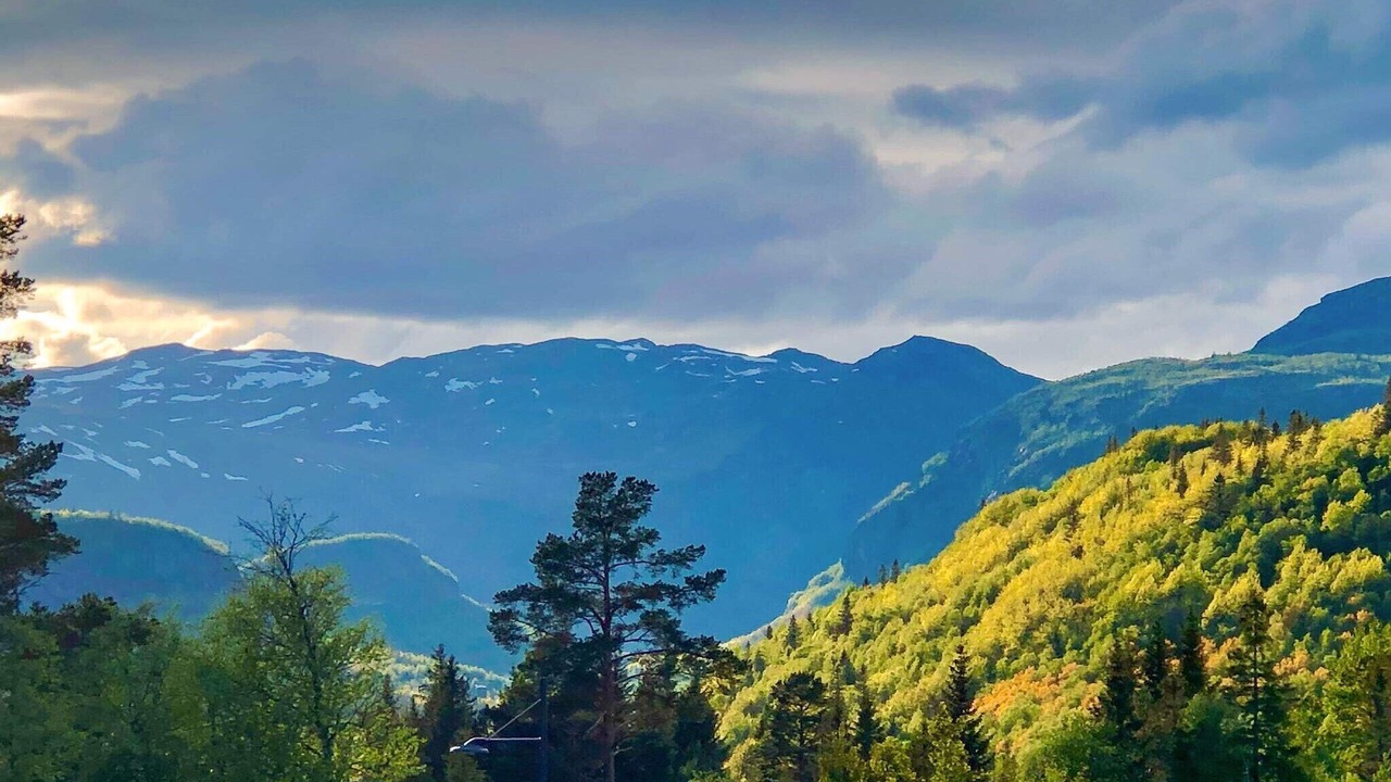 Photo of Others in Hemsedal