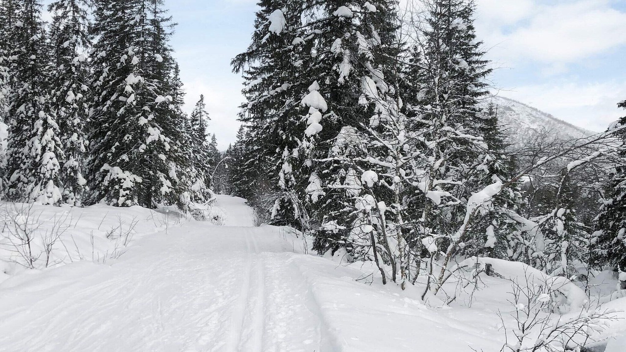 Photo of Others in Hemsedal