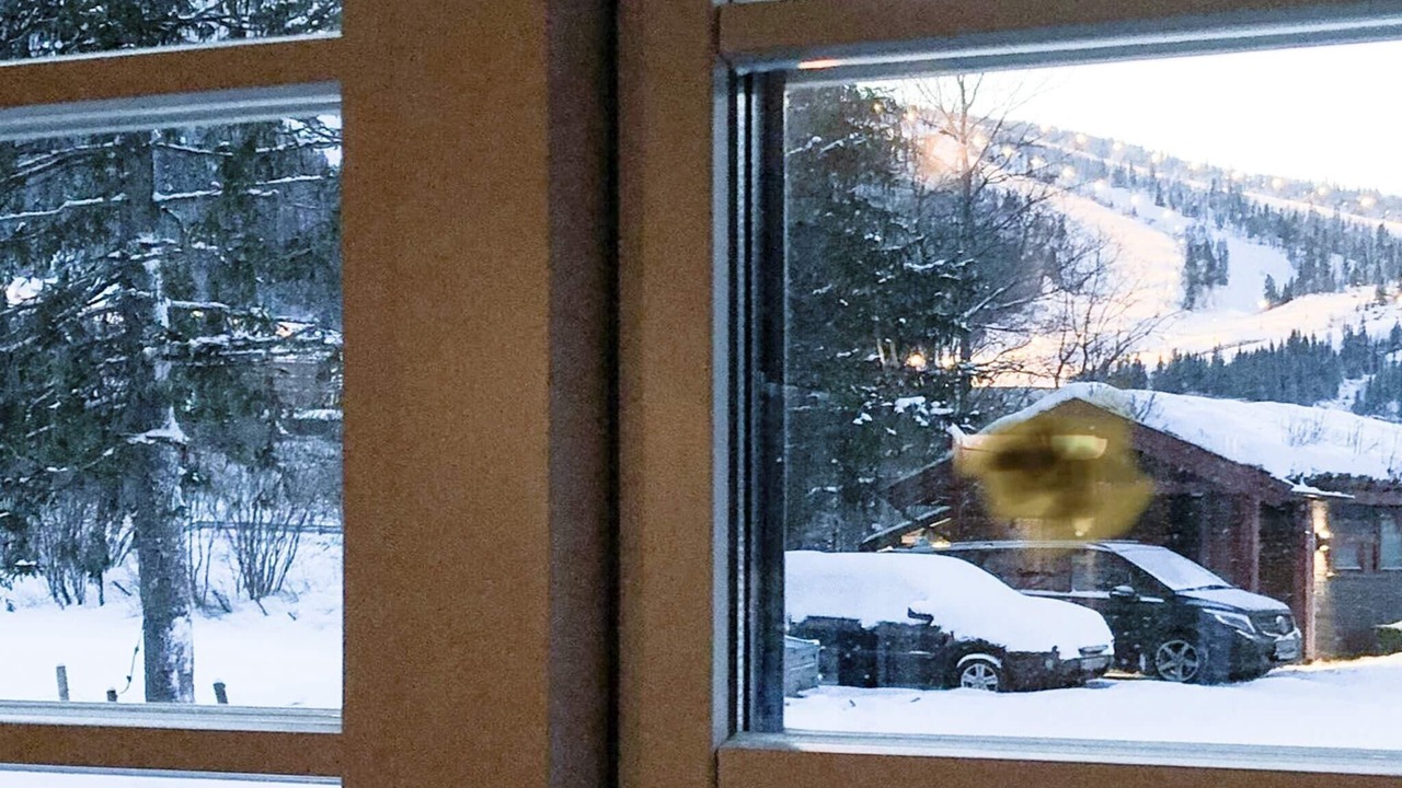 Photo of Others in Hemsedal
