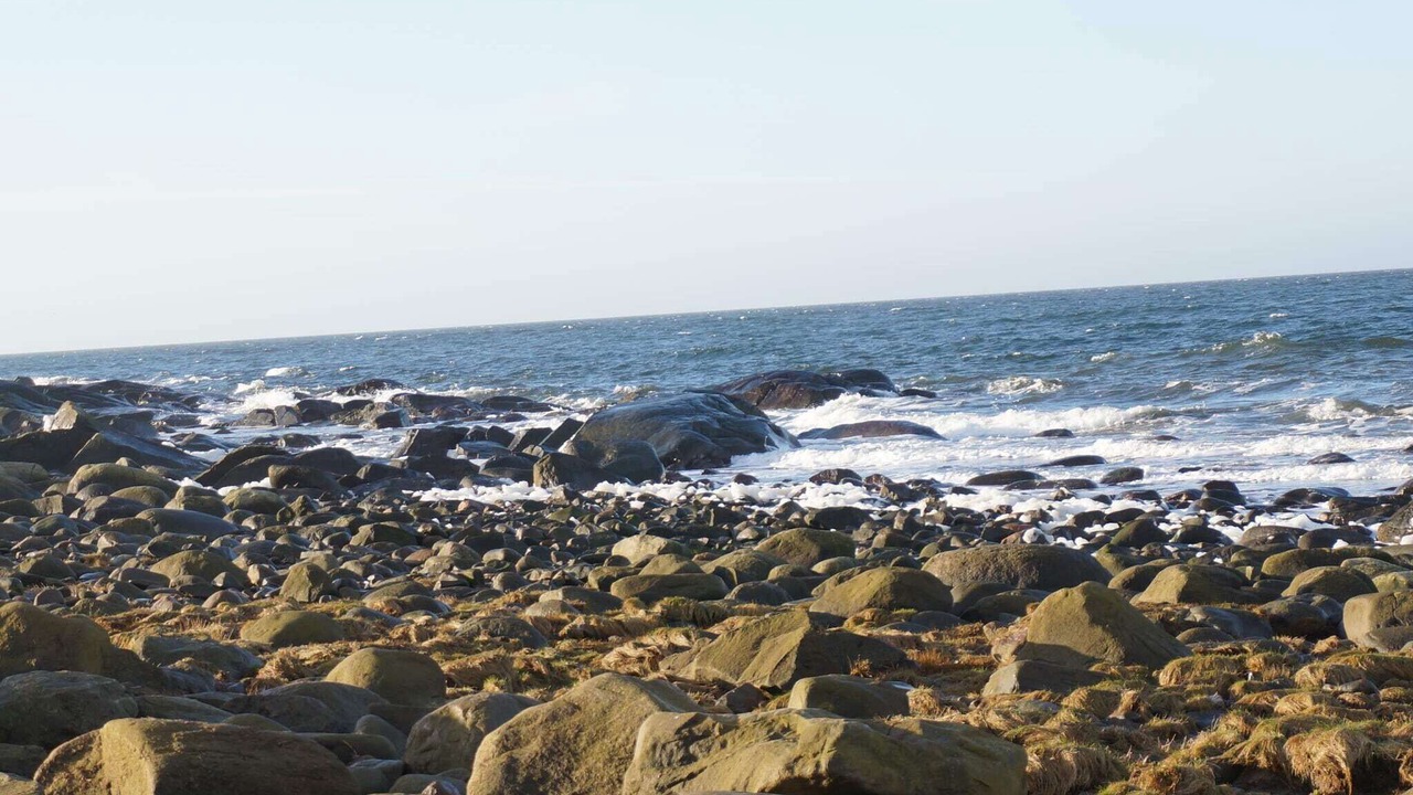 Photo of Outdoor in Steninge