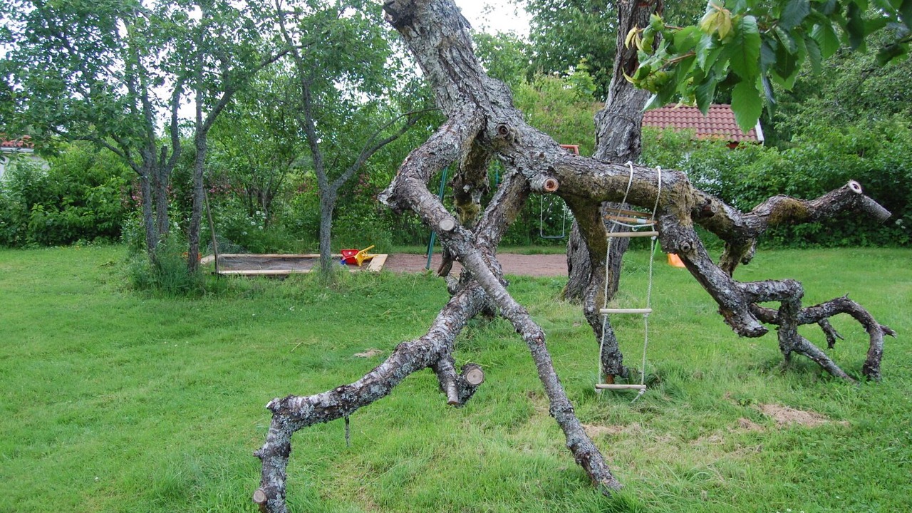 Photo of Others in Ydre Municipality