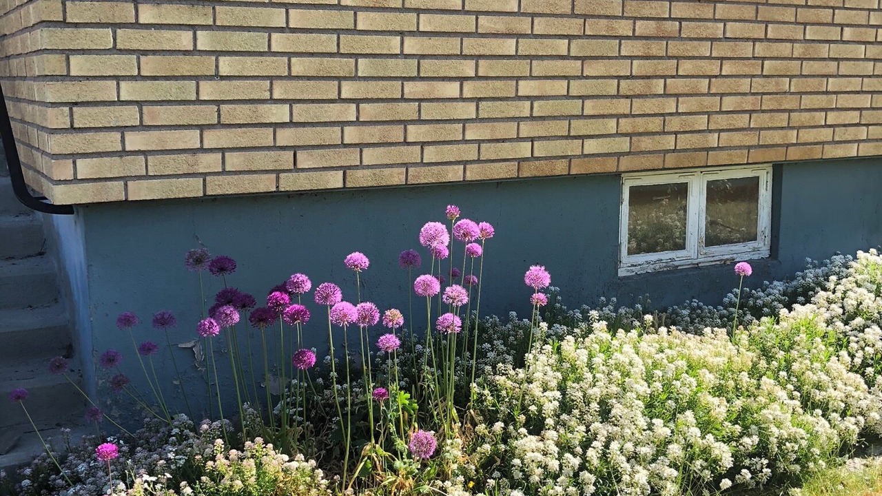 Photo of Outdoor in Bromma