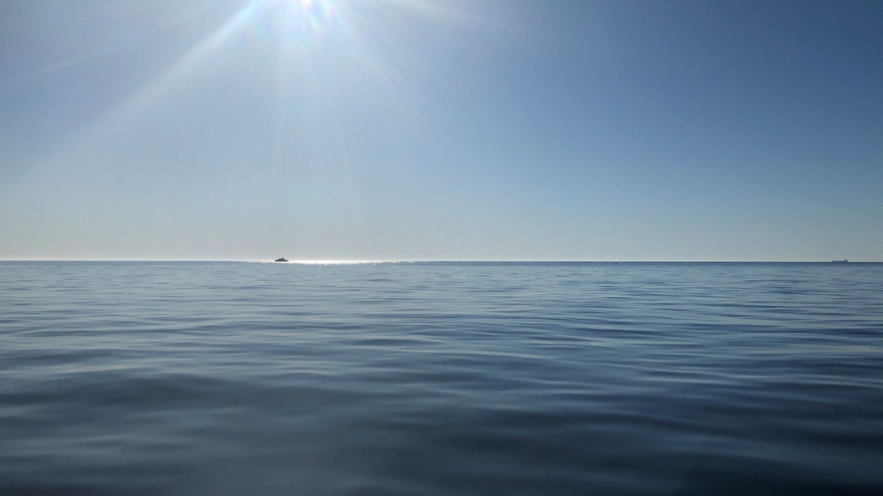 Photo of Others in Halleviksstrand