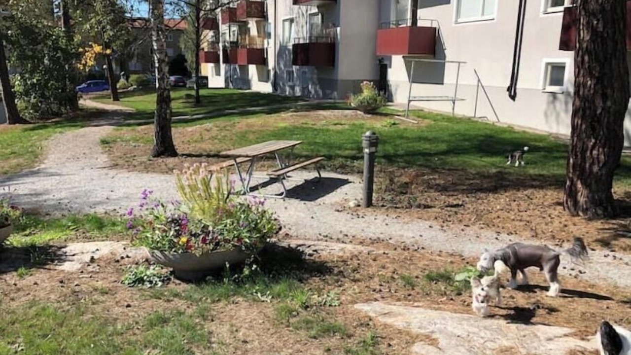 Photo of Outdoor in Vastberga