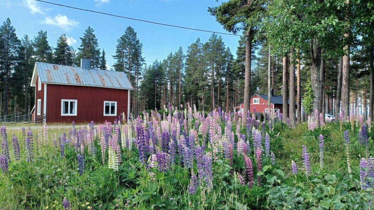 Photo of Outdoor in Bastutrask