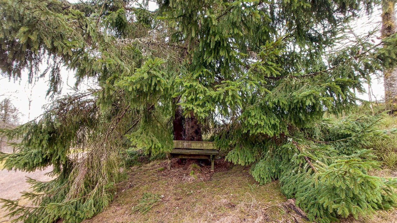 Photo of Others in Ovrarp