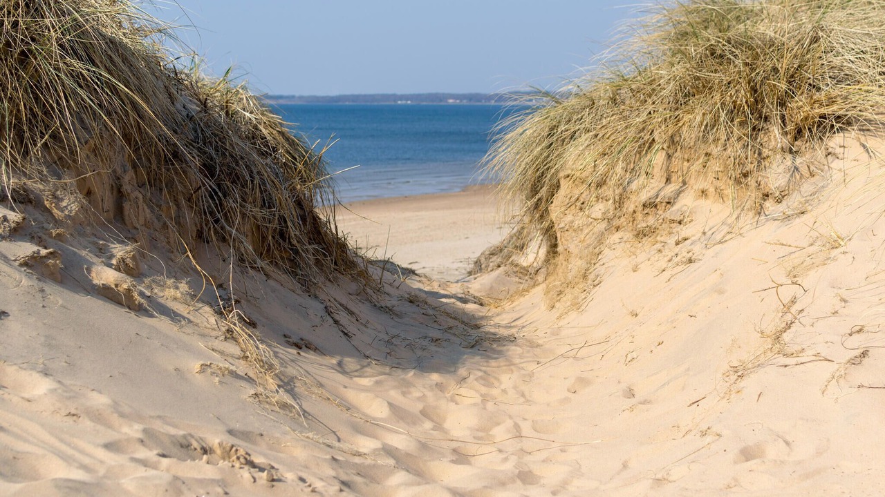 Photo of Others in Falkenberg