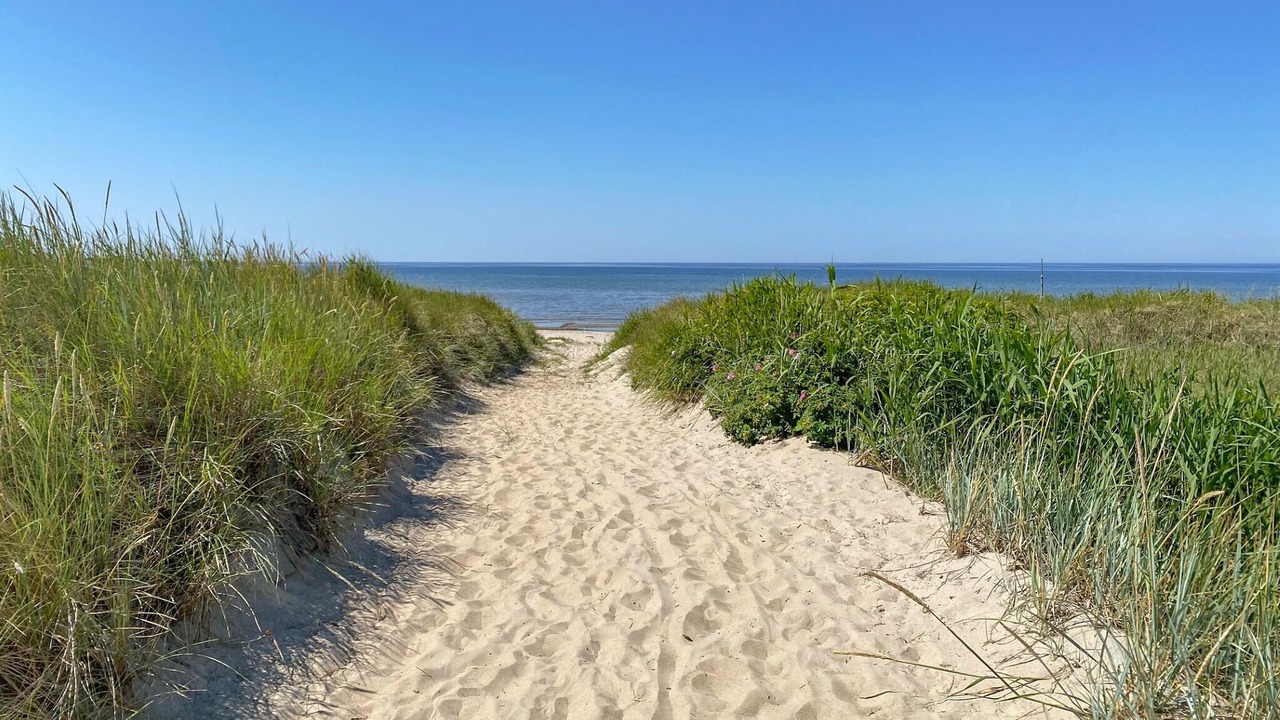 Photo of Others in Falkenberg