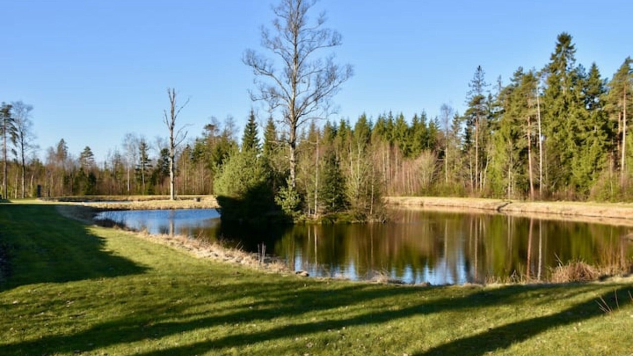 Photo of Others in Gallstad