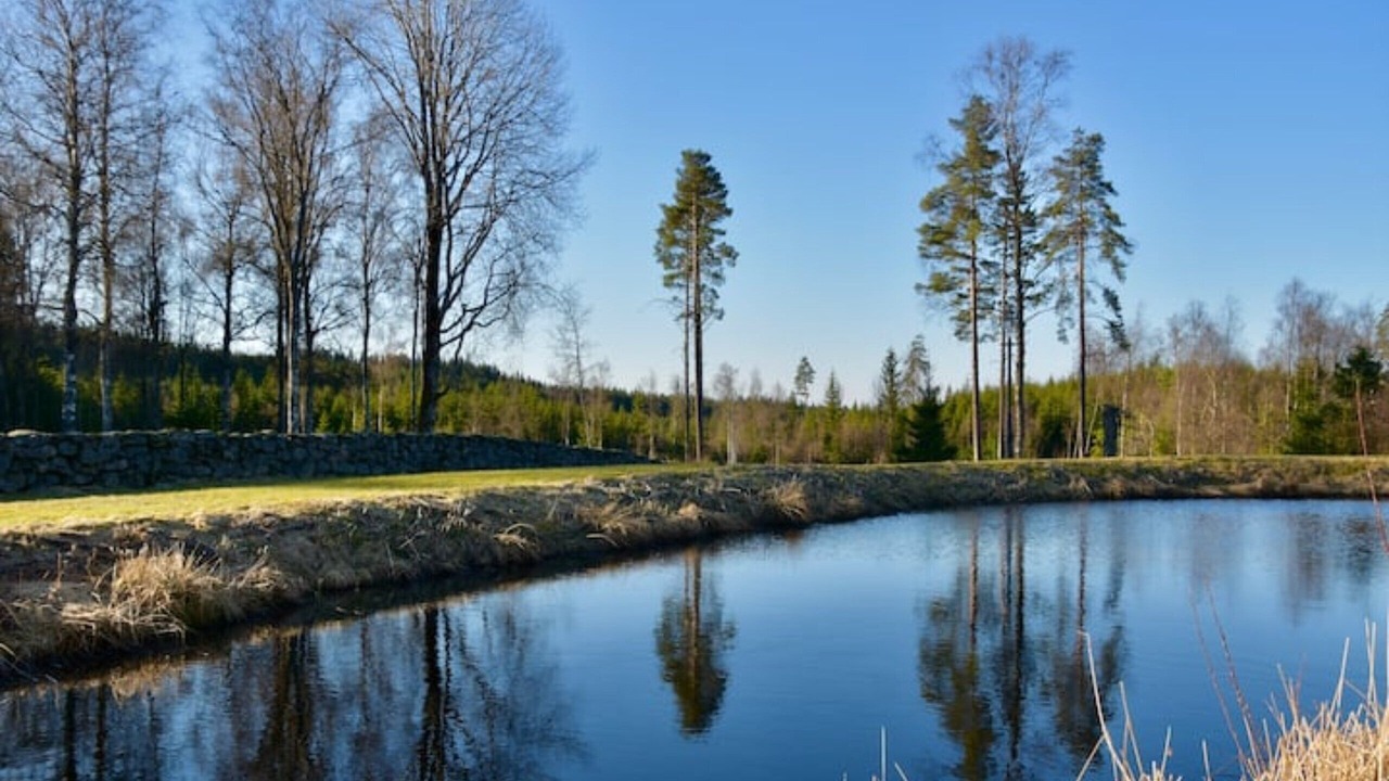 Photo of Others in Gallstad