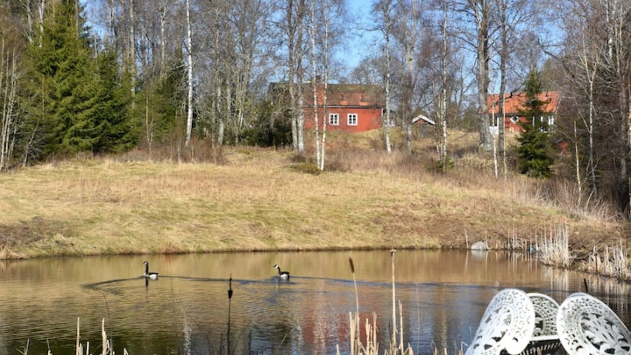 Photo of Others in Gallstad