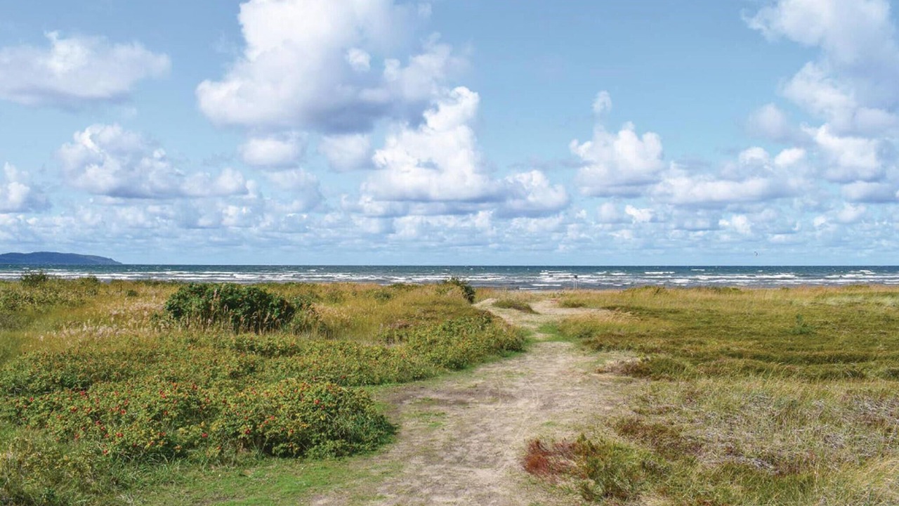 Photo of Others in Skummesloevsstrand