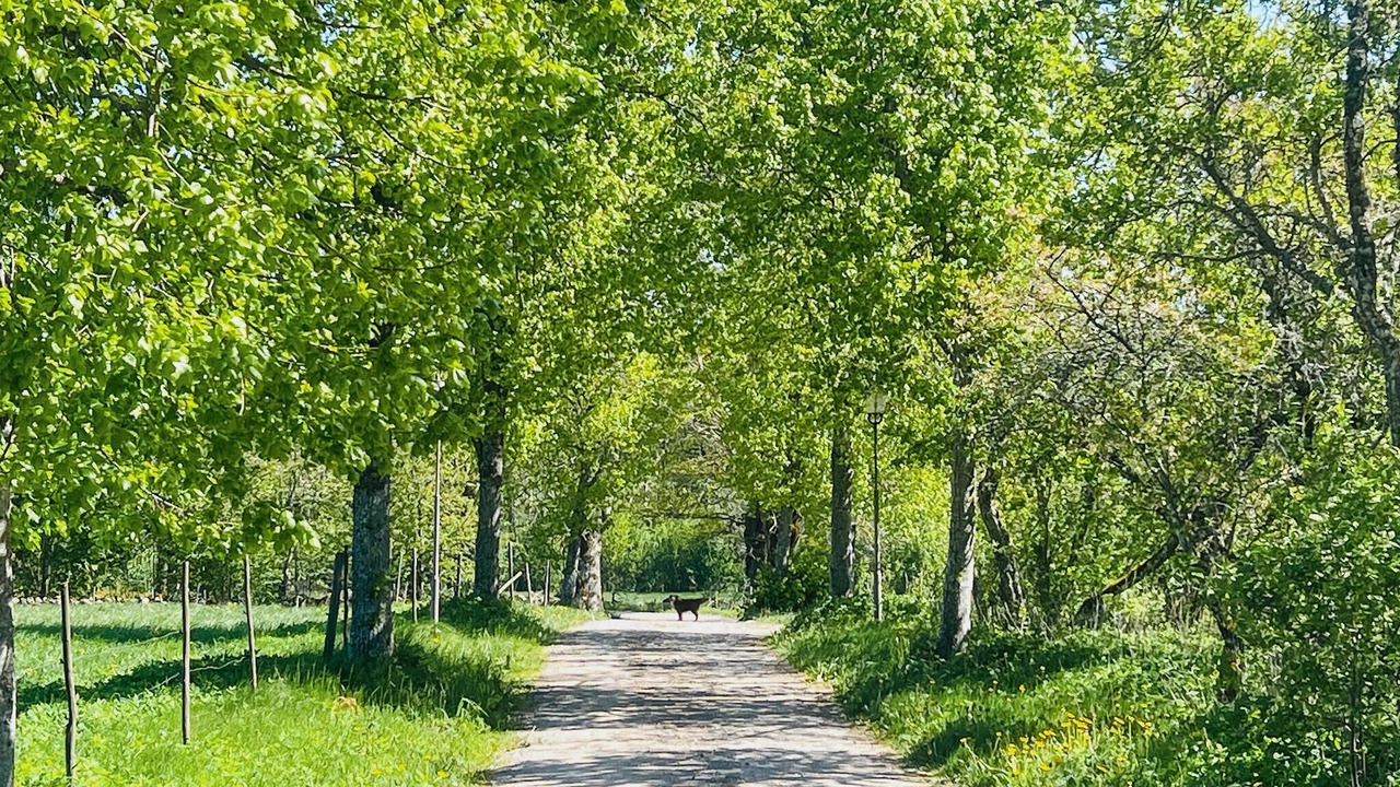 Photo of Others in Skovde Municipality