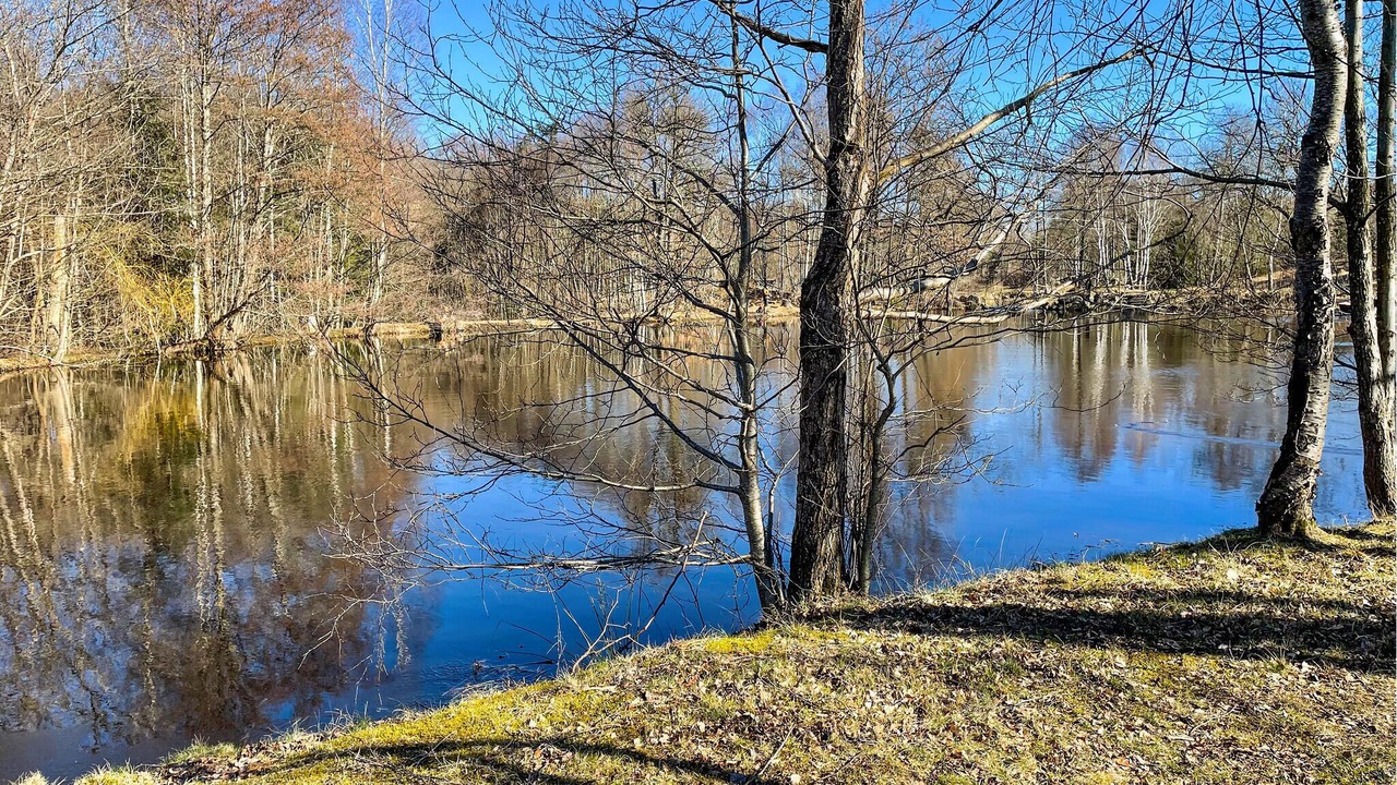 Photo of Others in Ludvigsborg