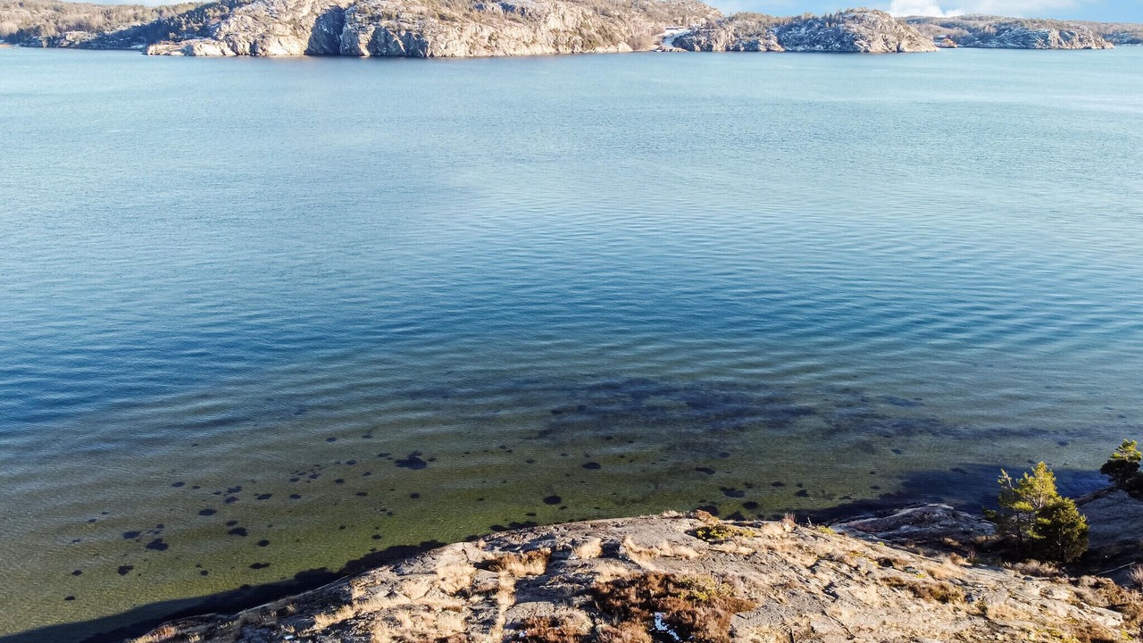 Photo of Others in Torgestad