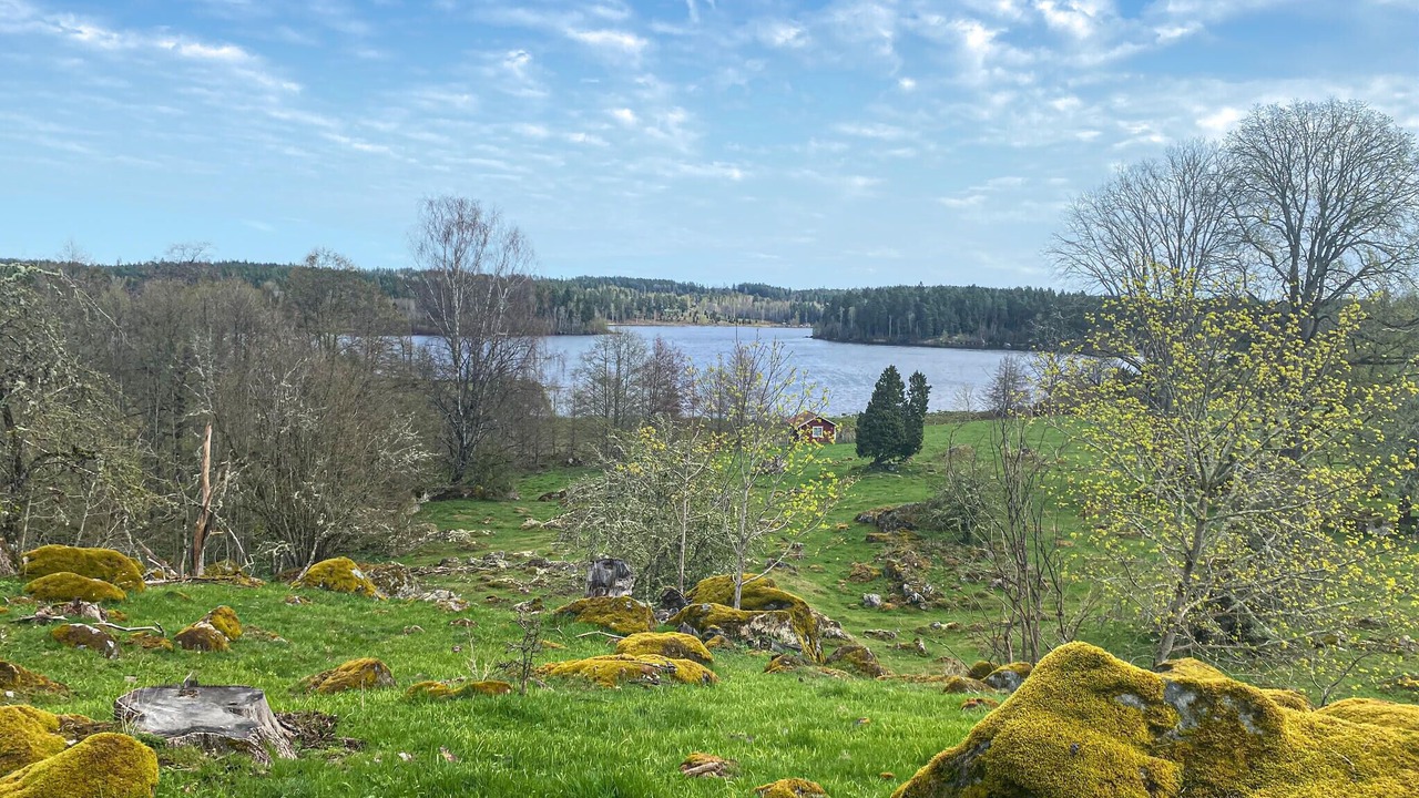 Photo of Others in Morlunda
