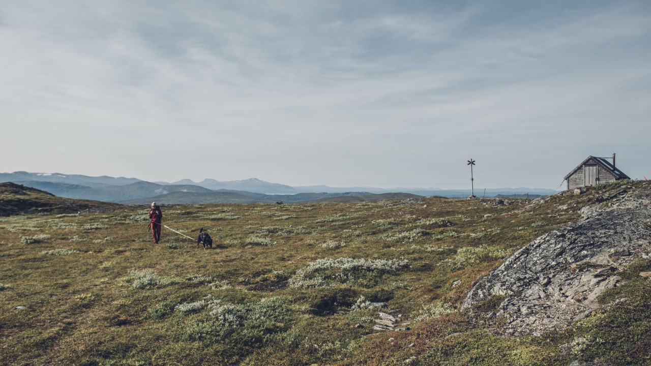Photo of Others in Trillevallen
