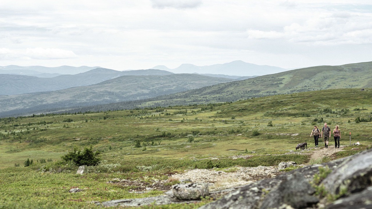 Photo of Others in Trillevallen