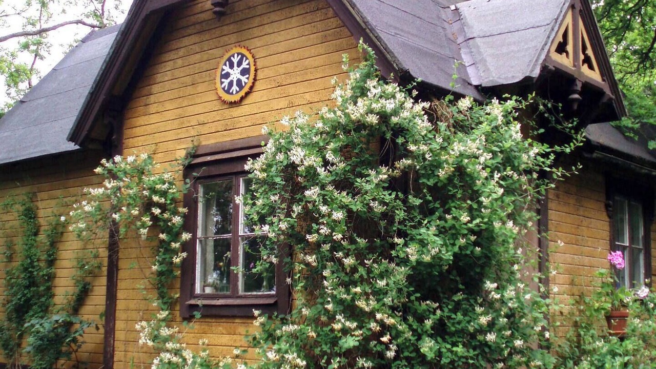 Photo of Outdoor in Drottningholm