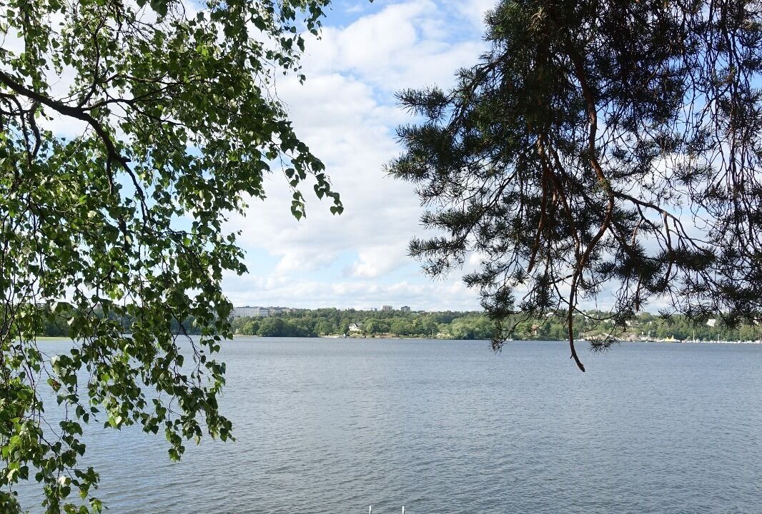 Photo of Others in Drottningholm