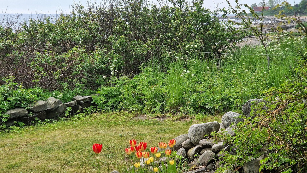 Photo of Others in Simrishamn