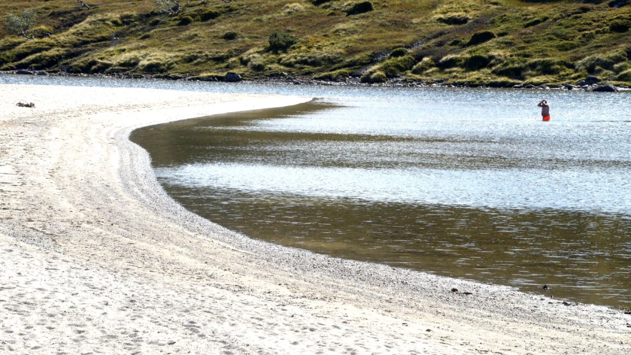 Photo of Others in Fidjeland