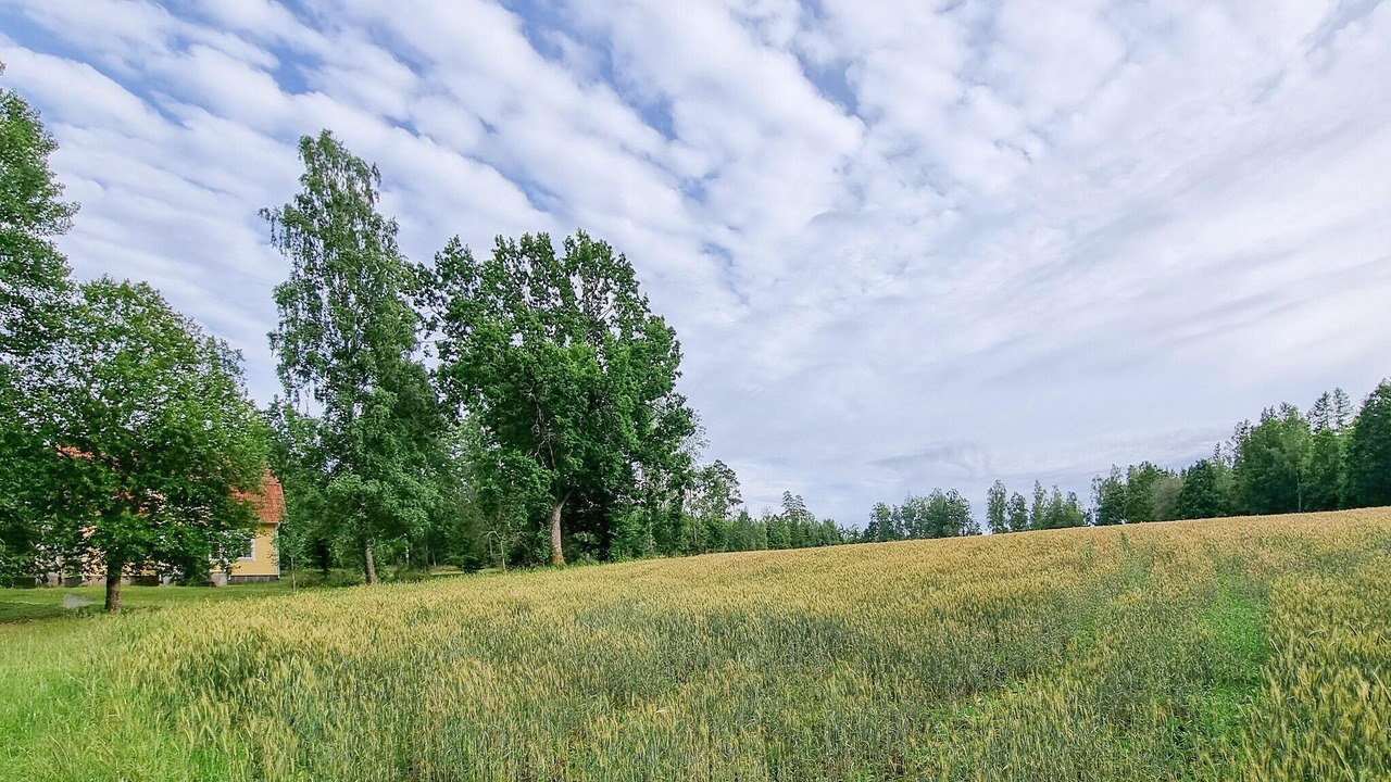Photo of Others in Tingsryd