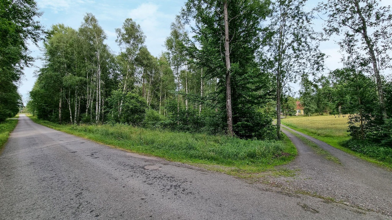 Photo of Others in Tingsryd