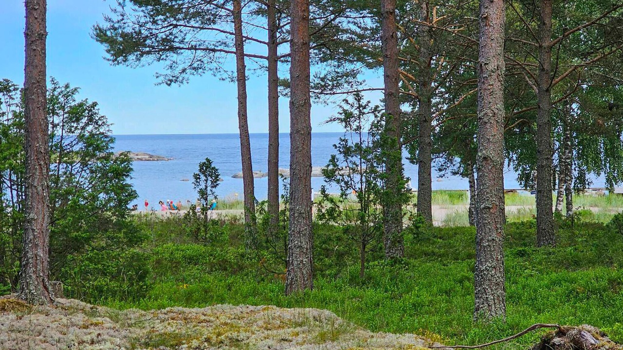 Photo of Others in Grisslehamn