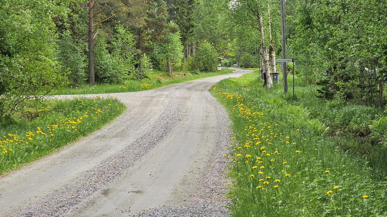 Photo of Others in Grisslehamn