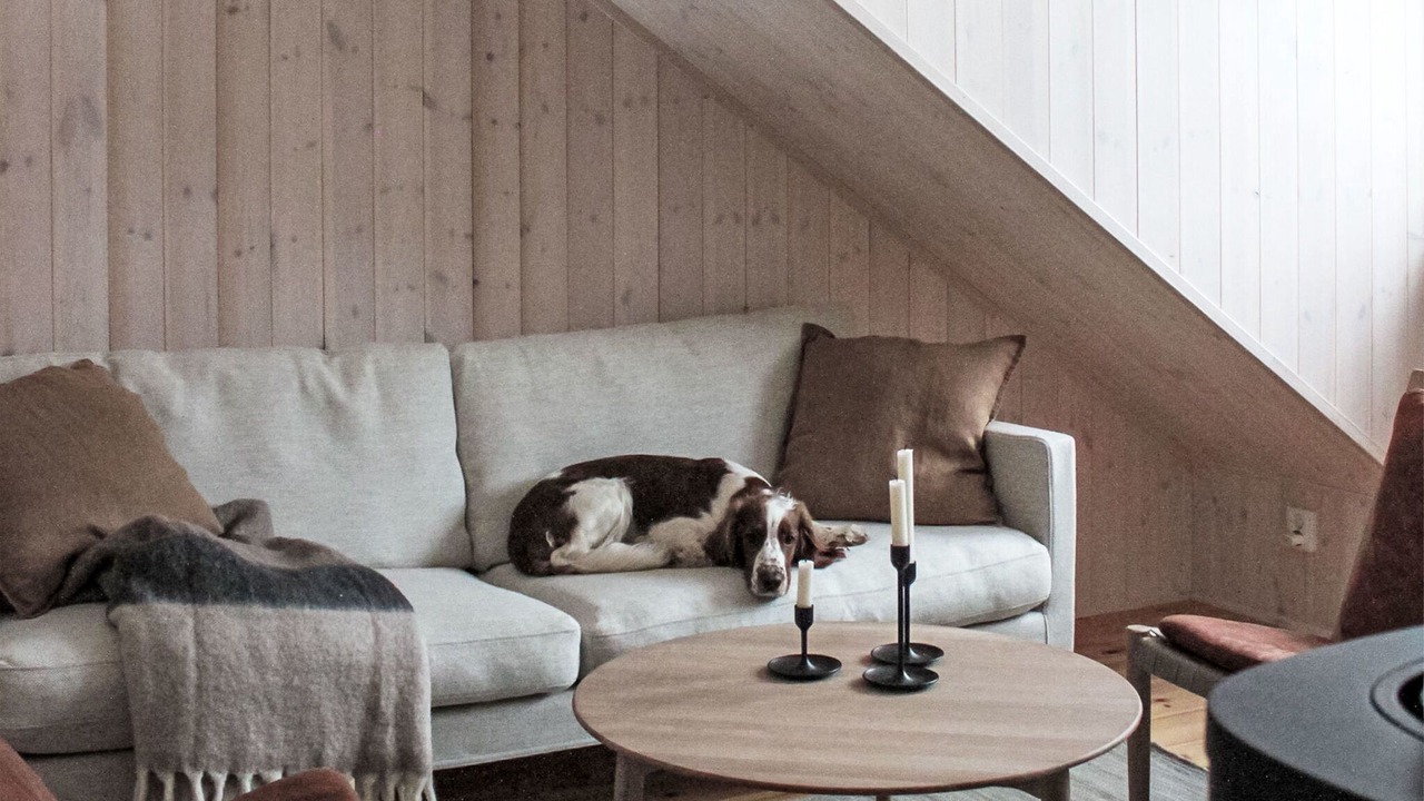 Photo of Livingroom in Tannas