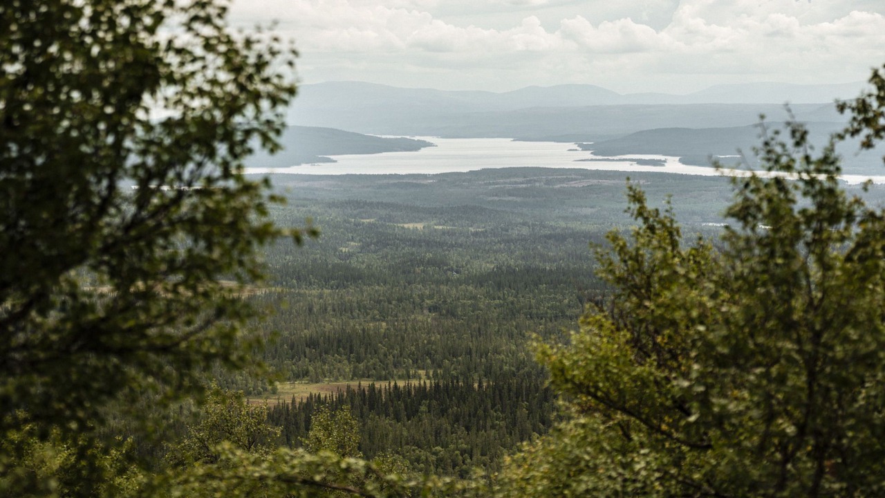 Photo of Others in Trillevallen