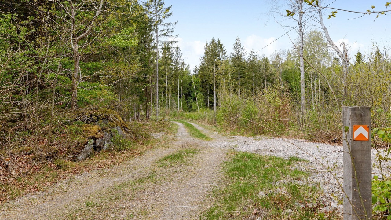 Photo of Others in Fagelmara
