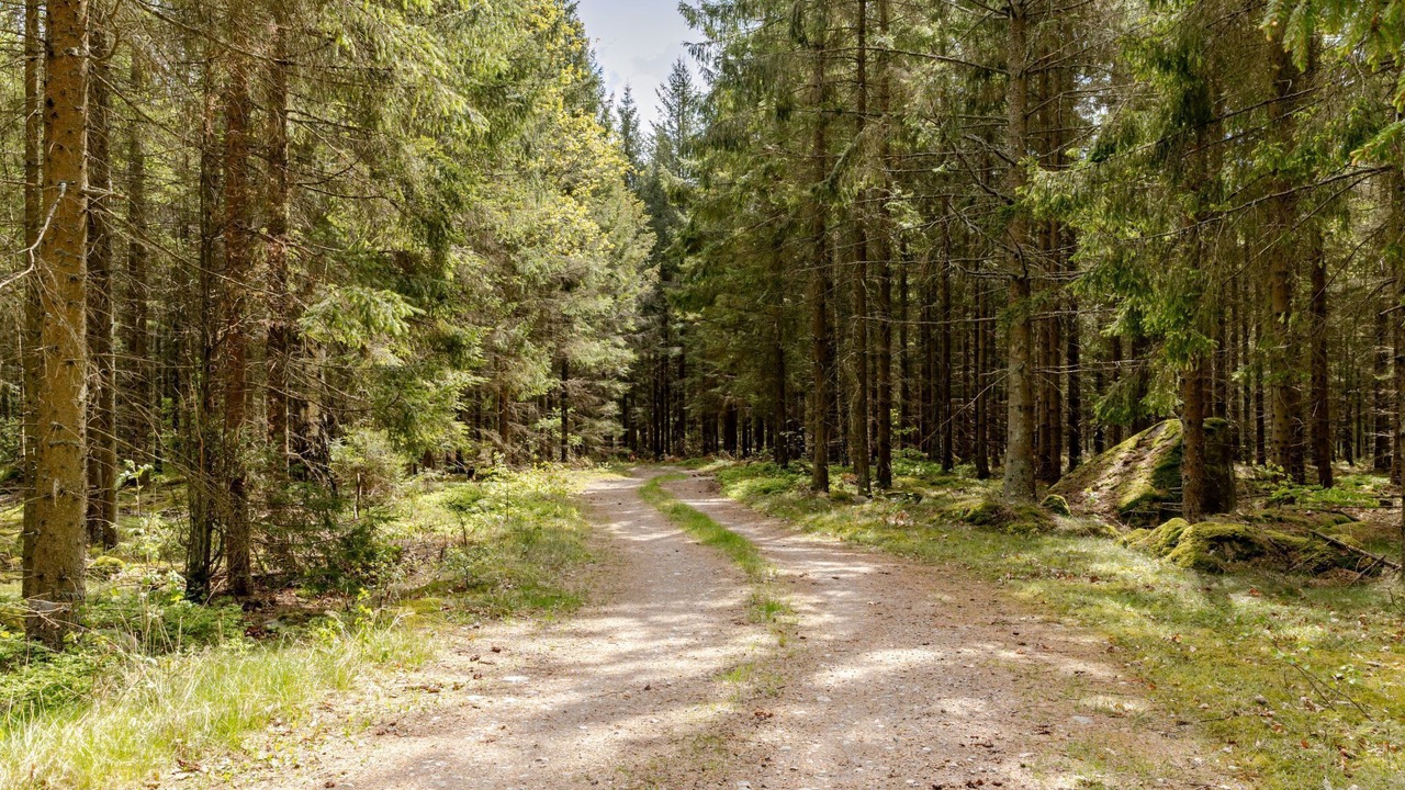 Photo of Others in Fagelmara