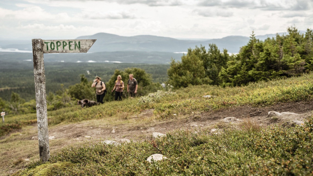 Photo of Others in Trillevallen
